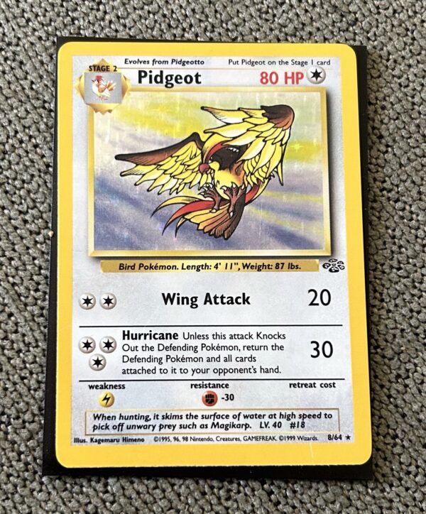 Pidgeot Jungle Holo #8/64